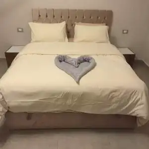 محمود سعد — صورة 2