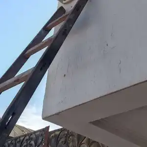احمد حنتيره — صورة 1