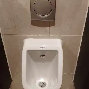 بيشوي بشرى — صورة 2