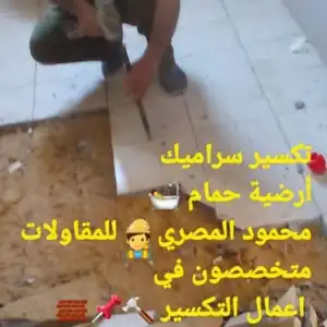 محمود المصري — صورة 2