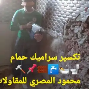 محمود المصري — صورة 4