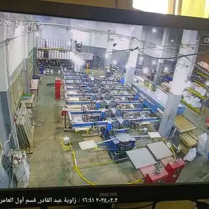 حماده النخلاوي — صورة 2