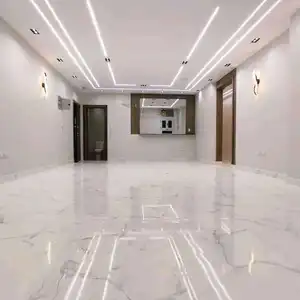 Alaa Ali — صورة 4