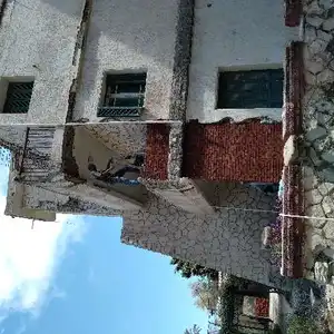 amir duban — صورة 2