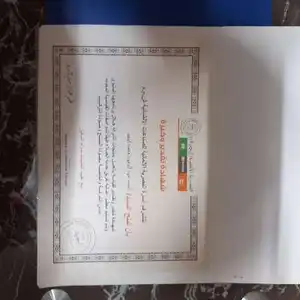 احمد عبد الحميد — صورة 4