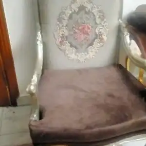 على محمود — صورة 1