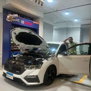 السيد اشرف — صورة 1