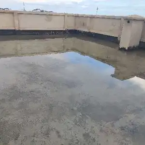 abdelkarim — photo 2