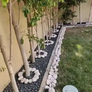 ابراهيم حمدي — صورة 2