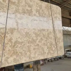 ابراهيم حمدي — صورة 4