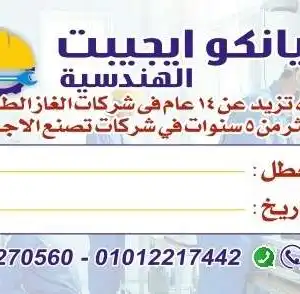 صيانكو ايجيبت — صورة 1