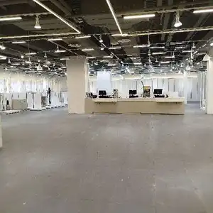 محمد صلاح — صورة 2
