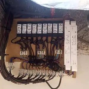 Badr srhair — photo 1