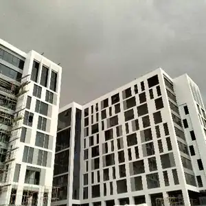 استاذ محمد رضا — صورة 1