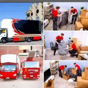 حازم عبد الجواد — صورة 3