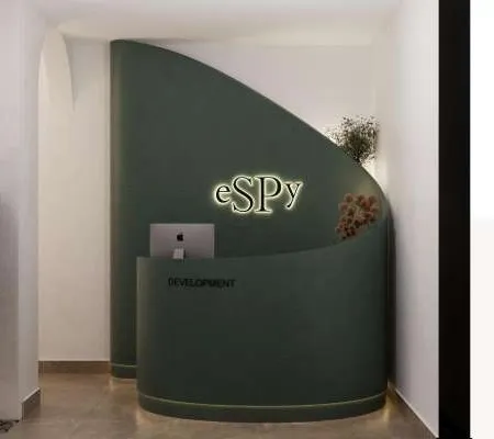 Decoration alzanaty — جبس وأسقف مستعارة صورة 2