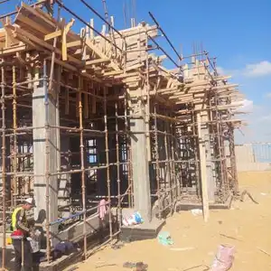 السيد صالح — صورة 3