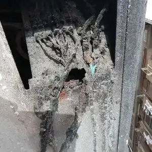 محمد عبدالفتاح — صورة 2
