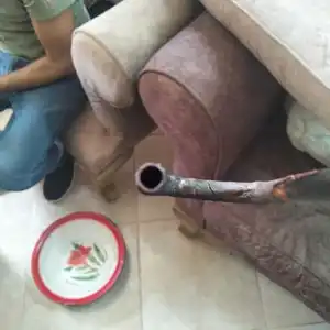 عماد عبدالنبي — صورة 3