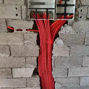 مصطفى — photo 8